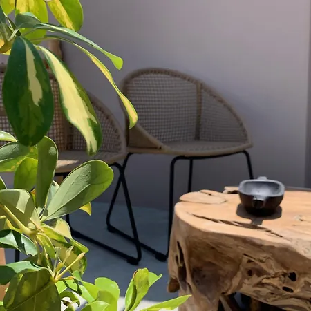 Aletri Swim Up Boutique *