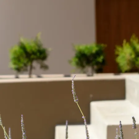 Aletri Swim Up Boutique فندق