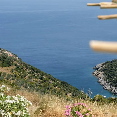 Aletri Swim Up Boutique